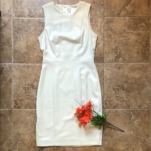 Sheath Dress size 36/6